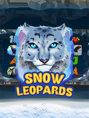 Snow Leopards